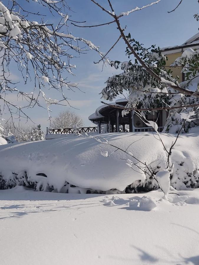 Bizim Ev Villa Sapanca Buitenkant foto