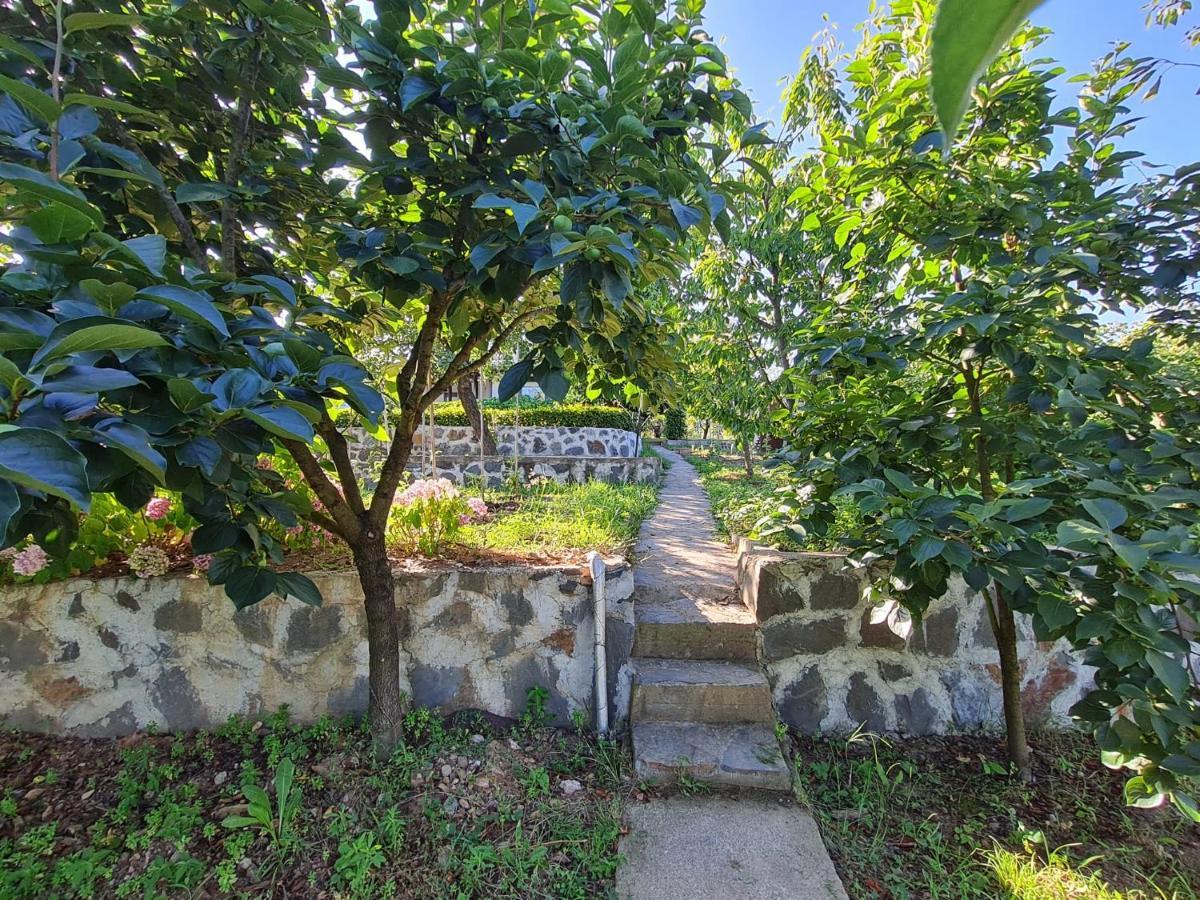Bizim Ev Villa Sapanca Buitenkant foto