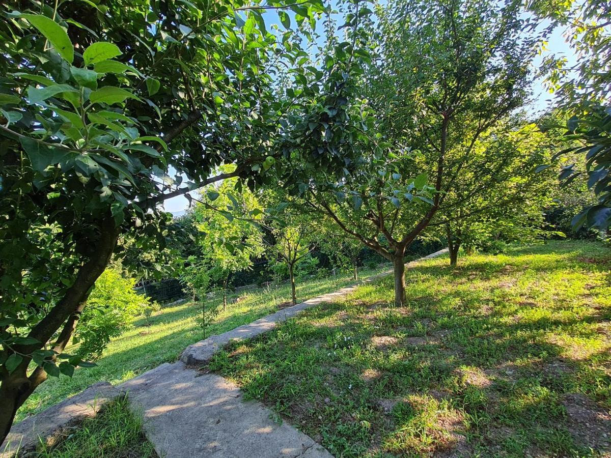 Bizim Ev Villa Sapanca Buitenkant foto