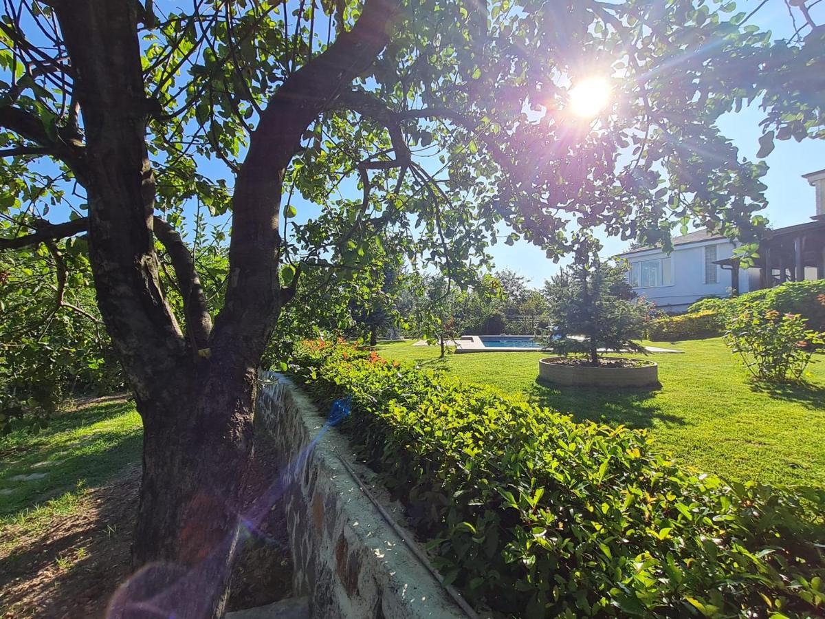 Bizim Ev Villa Sapanca Buitenkant foto
