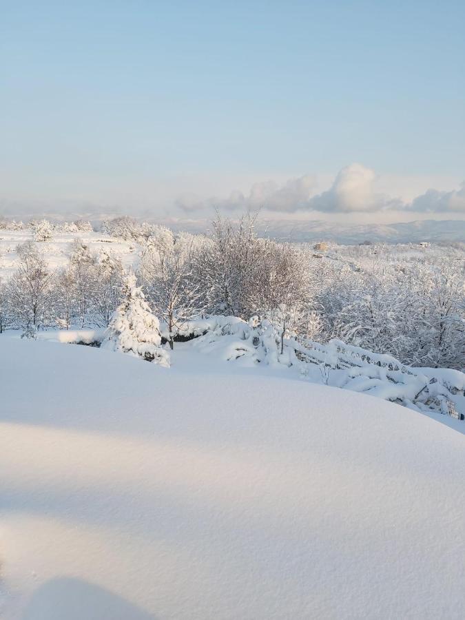 Bizim Ev Villa Sapanca Buitenkant foto